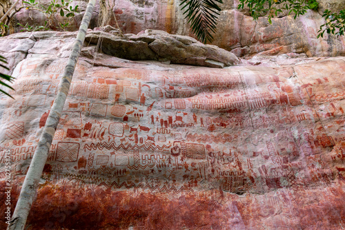 Photos Ancient pictographs on rock face surrounded by lush tropical foliage