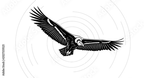 Tableau sur toile Vulture Bird Flying Overhead with Wings Spread Wide in Graphic Style