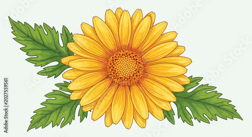 Vibrant Yellow Gerbera Daisy Flower with Green Leaves on White Background