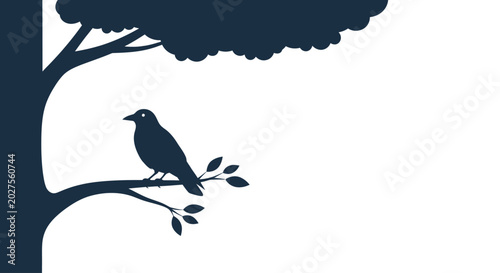 Photos Bird Perched on Tree Branch Silhouette.