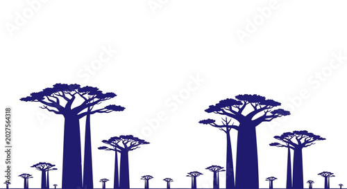 Tableau sur toile Baobab trees in a landscape setting.