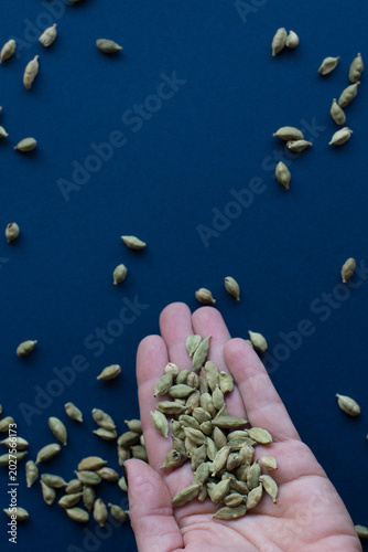 Puñado de cardamomo con fondo azul