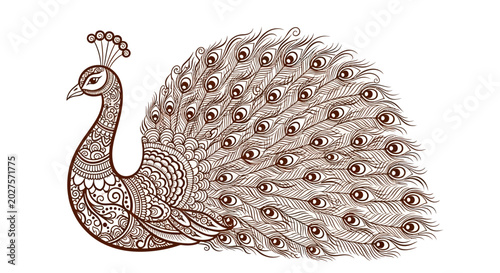Ornate Peacock Illustration - Intricate Henna Style Design