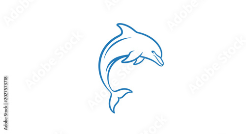 Photos Dolphin jumping out of water.