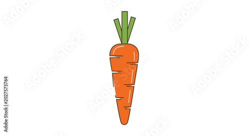 Fotografi Fresh orange carrot vegetable root.