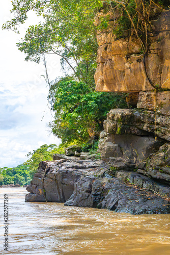 A rocky riverbank adorned with vibrant greenery and cascading vines, under a partly cloudy sky next to the Guayabero Rapids.