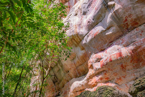 Vibrant ancient rock art contrasting against the textured stone surface surrounded by lush green foliage in Cerro Azul.