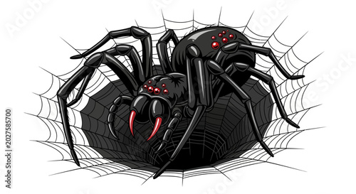 Photos Black Widow Spider on Web, Dangerous Insect Illustration