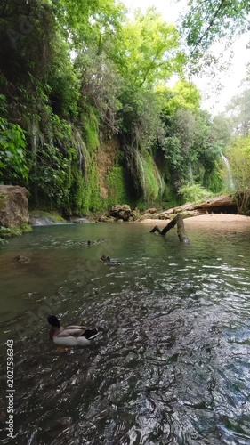Secluded forest waterfall with clear natural pool
