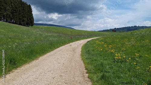 POV Walking Along Grassy Mountain Trail