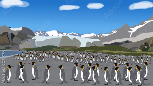 Foto King Penguin: The Crowned Shore of South Georgia