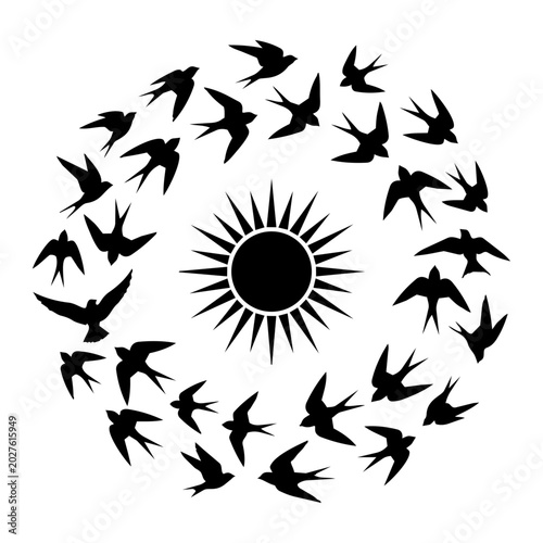 Black silhouette of many birds flying in a circle around a bright sun icon isolated on transparent background, Vector