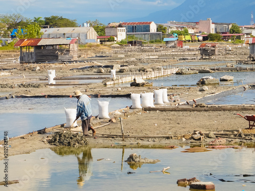 Farmer walks through muddy tidal flats. White sacks line the wet earth beside him. Rows of concrete barriers separate shallow ponds. Sunlight glints off water, casting clear reflections