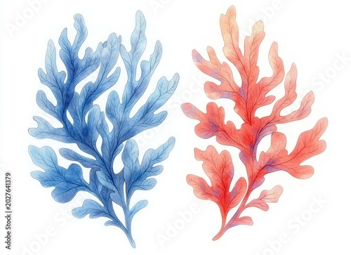 two watercolor seaweed fronds, one blue and one coral red, delicate leaf-like organic shapes on a white background evoking calm and airy serenity