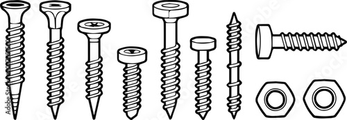 Bild auf Leinwand screw bolt nut washer lineup showing thread head and size differences