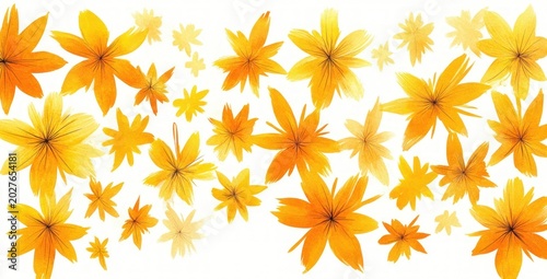 scattered orange and yellow watercolor flowers with radiating petal details on white background, bright, cheerful and warm mood