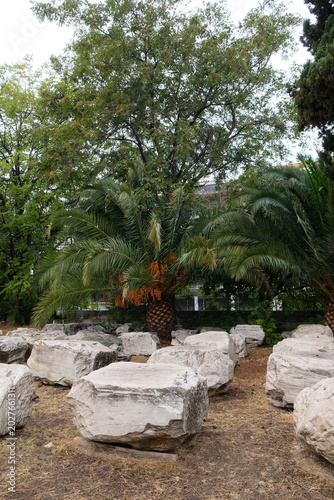 Large stone blocks rest on the ground near trees in an outdoor area around midday