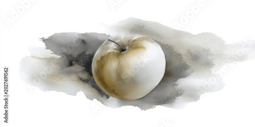 Watercolor apple fruit painting isolated white background realistic soft organic fresh artistic calm gentle natural hand painted neutral tone creative healthy food botanical elegant minimal style