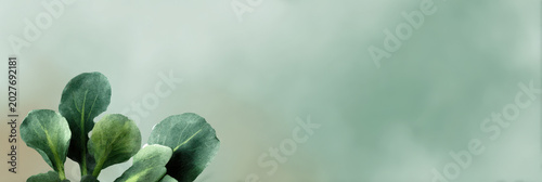 Watercolor broccoli illustration green vegetable healthy food organic fresh leafy artistic isolated soft background calm mood suitable for banner design