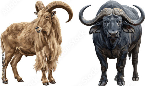 Foto Realistic Hand Drawn Wild Horned Animal Vector Set with Barbary Sheep Ram and Af