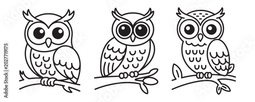 Cute owl coloring page vector set, cartoon owl characters sitting on tree branches, black and white line art illustrations for children activity books