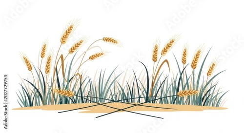 Golden Wheat Stalks Growing Among Wild Grass on Minimal White Background