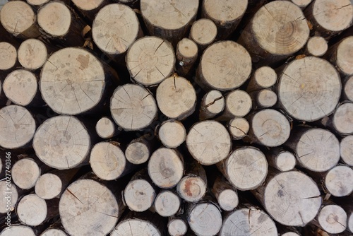 Quadro su tela Stacked firewood logs cross section background
