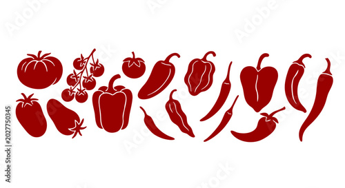 Tomatoes and Chili Peppers Hand-drawn Sketch Vector Collection