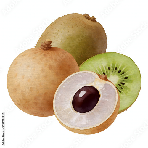 kiwi fruit isolated on white background