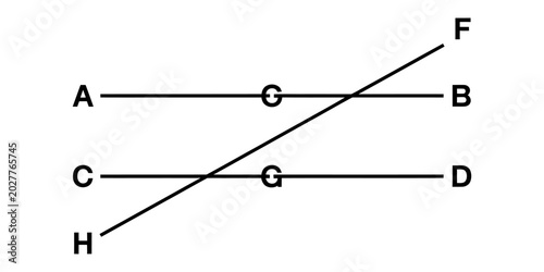 Bild auf Leinwand Geometric diagram showing two parallel lines intersected by a diagonal line with