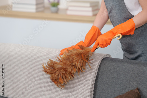 Asian woman dusting sofa with feather duster in modern home