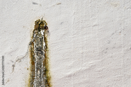 Billede på lærred signs of damage to walls due to high humidity and water leaks