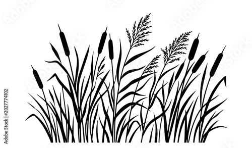 Schilderij op canvas Black riverbank cattail and reed silhouette vector collection for natural landsc