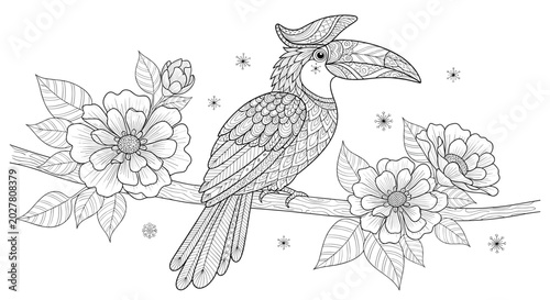 Intricate line art illustration of a toucan bird perched on a flowering branch for adult coloring and meditation.