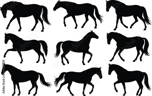 Quadro em tela Black horse silhouettes in dynamic walking and trotting poses arranged in grid p