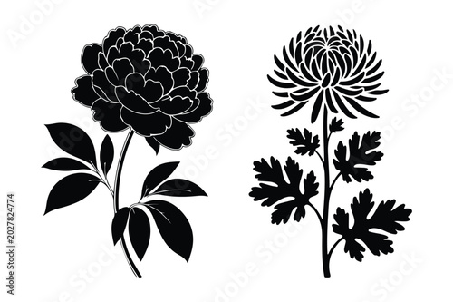Obraz na plátne Set of black and white flower illustrations featuring large peony and chrysanthe