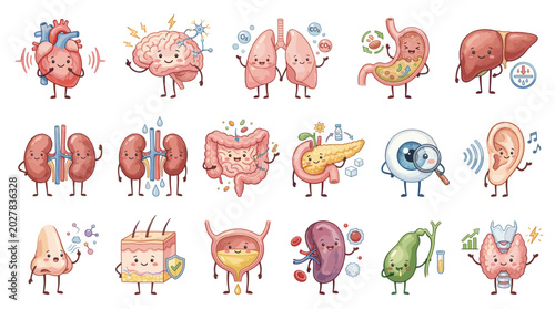 Cute cartoon human organs set with heart, brain, lungs, liver, kidneys, stomach, intestine and senses icons isolated on white background
