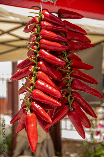 Traditional Red Chili Peppers Bunch Hanging at Basque Market