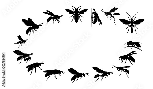Fotografía Educational vector chart of 14 diverse wasp silhouettes in different flight and
