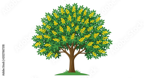 Fruiting tree with yellow berries and green leaves on white background