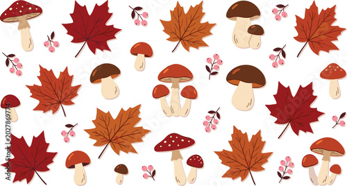 Fotografía Hand Drawn Autumn Clipart Vector Set with Red Maple Leaves Detailed Mushrooms Fl