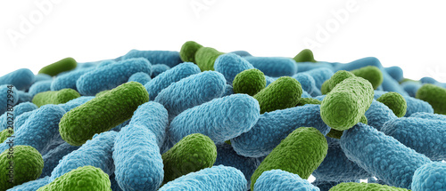 Canvastavla Pile of blue and green rod-shaped bacteria, isolated on transparent background