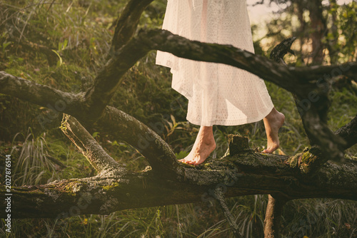 Faceless barefoot woman in white vintage dress walking on a mossy fallen tree trunk in enchanted forest, atmospheric cinematic, close-up shot.