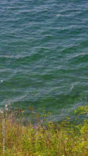 View of the sea and the coastline. Half of the frame is the sea, half is the shore. Vertical shot.