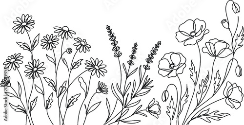 Continuous line drawing of spring wildflowers, daisy and poppy flowers, simple vector illustration.