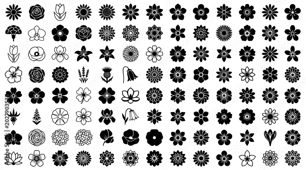 Fototapeta premium Flowers hand drawn set with black and white line art, various shapes and sizes, botanical illustrations, floral patterns, decorative elements
