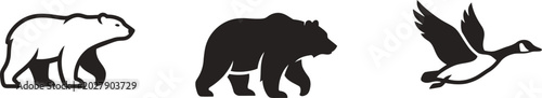 Photos Black and white illustrations of a polar bear, grizzly bear, and Canada goose in