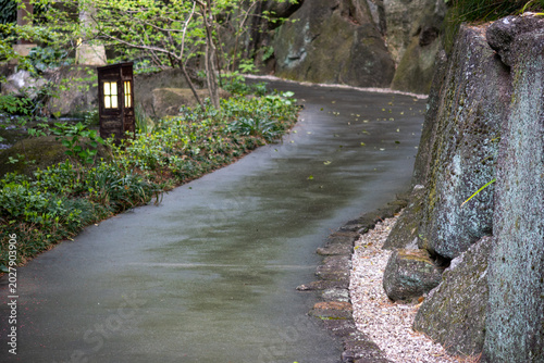 Tableau sur toile Quiet garden pathway with rocks and greenery after rain