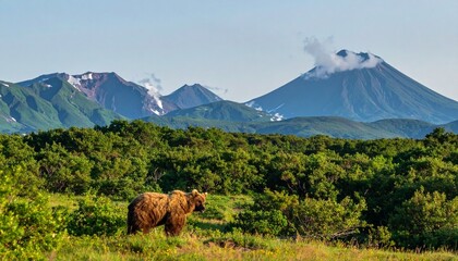 Brown bear in grassy wilderness with volcanic mountains, symbolizing coexistence of wildlife and dramatic landscapes in natural environment.