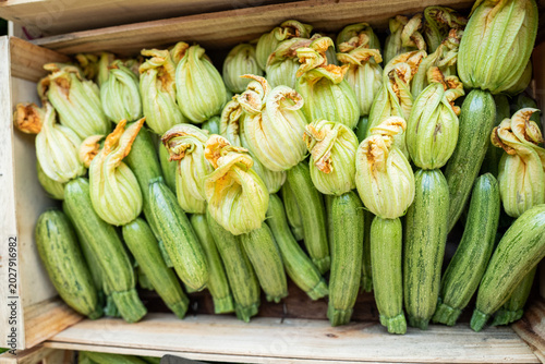 Close-up of farm-raised organic mini zucchini